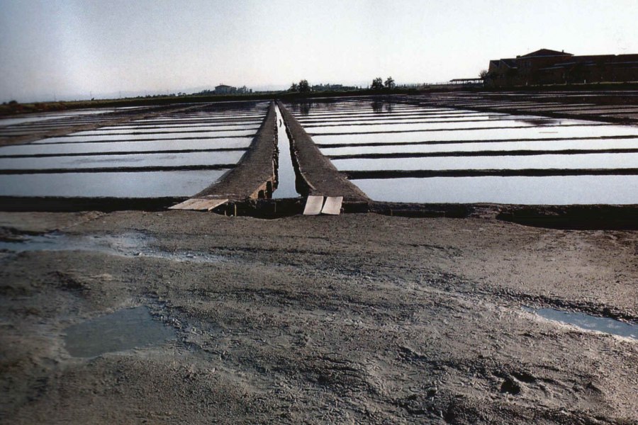 Salina di Cervia